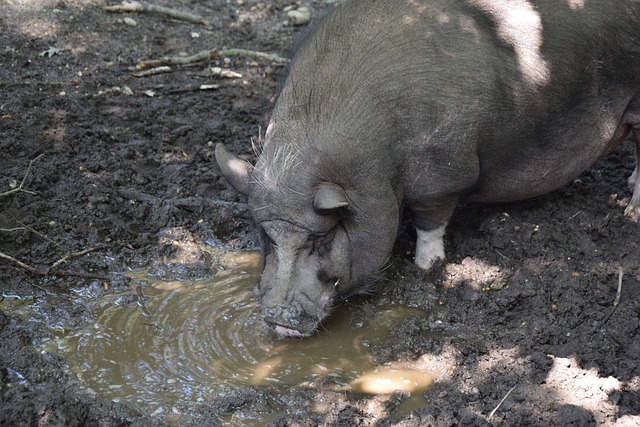成为如今争 成为如今争