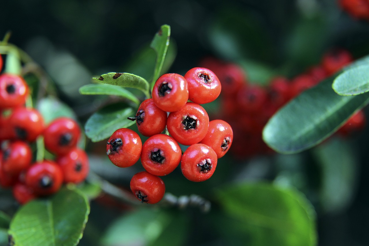 她们已经展 她们已经展