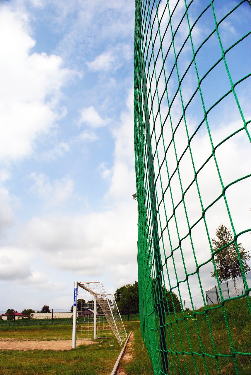 战与损失 战与损失